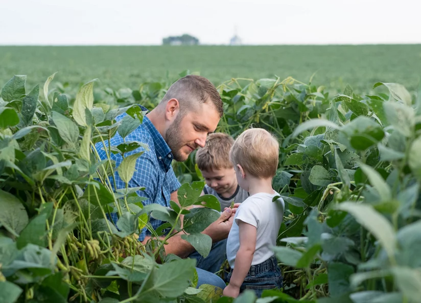 soybean_farmer